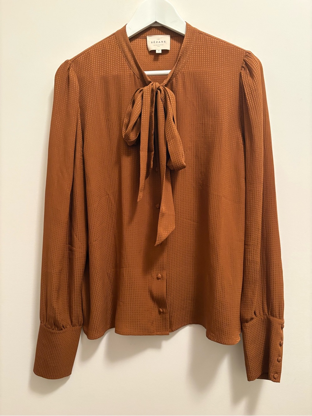 Women's Rust Tie-Neck Blouse
